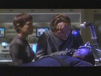 Doktor Phlox scheint auch betroffen zu sein.