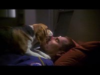 Porthos besucht sein im Koma liegendes Herrchen.