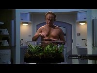 Phlox fühlt sich allein frei auf dem Schiff.