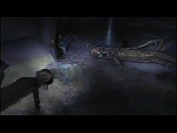 Alle Xindi-Insektoiden an Bord sind tot.