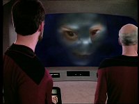 Illusion oder Wirklichkeit