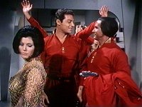 Der schlafende Tiger