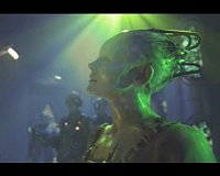 Der Fein hört interessiert mit.